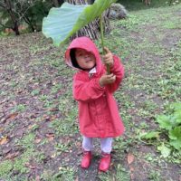 私が森に子どもを入れたわけ