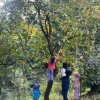 こにわのお母さんたち