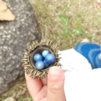 森への感謝の日